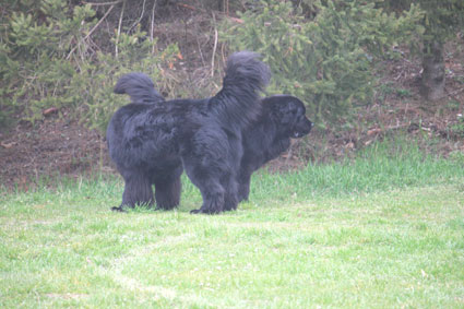 Akim-Jess09-051.jpg