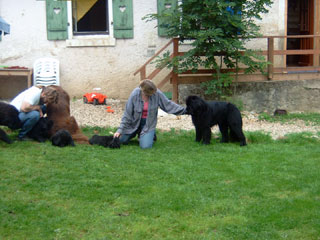 gabi,micha,baby.und.pearl.jpg