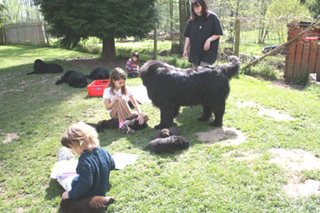 ein-grosser-Kindergarten.jpg